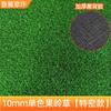 Fabricante de Césped para Campos de Golf Césped Artificial para Putting Greens Césped Artificial para Putting Greens Césped para Putting Greens