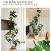 Pé de Pato Madeira Simulação Planta Verde Planta Falsa Alta Qualidade Sala de Estar Planta em Vaso Interior Grande Bonsai Biônico Hotel Decoração de Chão