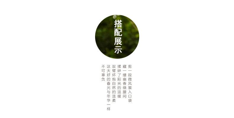 花盆01_08