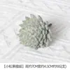 Plantación de Bonsái de Suculentas Simuladas Cuidadosamente Seleccionadas Mini Accesorios de Suculentas Falsas Terciopelo Plantas Verdes Decoración del Hogar DIY Adornos