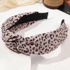 Diadema de ala ancha de estilo coreano, estilo japonés y coreano, para salir, elegante, combina con todo, accesorios para el cabello