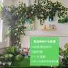 Folhas, galhos, videiras, flores artificiais, trepadeiras, canos, pilares, plantas trepadeiras, plantas verdes, plantas de parede, cobrindo imperfeições, decorações
