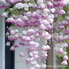 Semillas de Flor de Ciruelo Repelen Mosquitos e Insectos, Planta Trepadora de Doble Pétalo, Fácil de Cultivar, Florece en Todas las Estaciones, Semillas de Flores para Jardín Exterior
