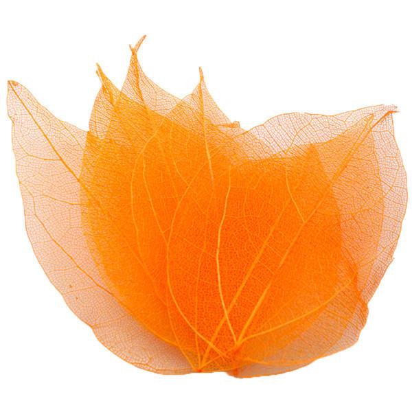 Lucia-Crafts-36pcs-Bag-Multi-C