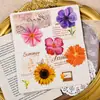 Adesivos PET Flores Coloridas Material para Decoração de Diário Floral Impermeáveis Transparentes Adesivos de Capa de Celular de Alto Valor