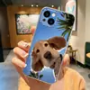 Aplicable a funda de teléfono Apple 18pro 17PROMA un perro lindo funda protectora de TPU IP16PRO mascota linda orejas grandes