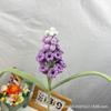 Flores de Hilo Tejidas a Crochet Hechas a Mano, Flores Artificiales, Jacinto de Uva, Recuerdos, Regalos de Cumpleaños, Decoración del Hogar