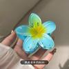 Explosões Transfronteiriças Europeias e Americanas da Amazon Grampo de Cabelo Flor de Ovo Colorida Prendedor de Cabelo Flor Prendedor Lateral Prendedor Metade Traseira Presilha Tubarão