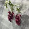 Campanilla de viento de pesca de cifrado flor de techo flor de simulación flor de glicinia decoración de salón de bodas fábrica mayorista de flores artificiales