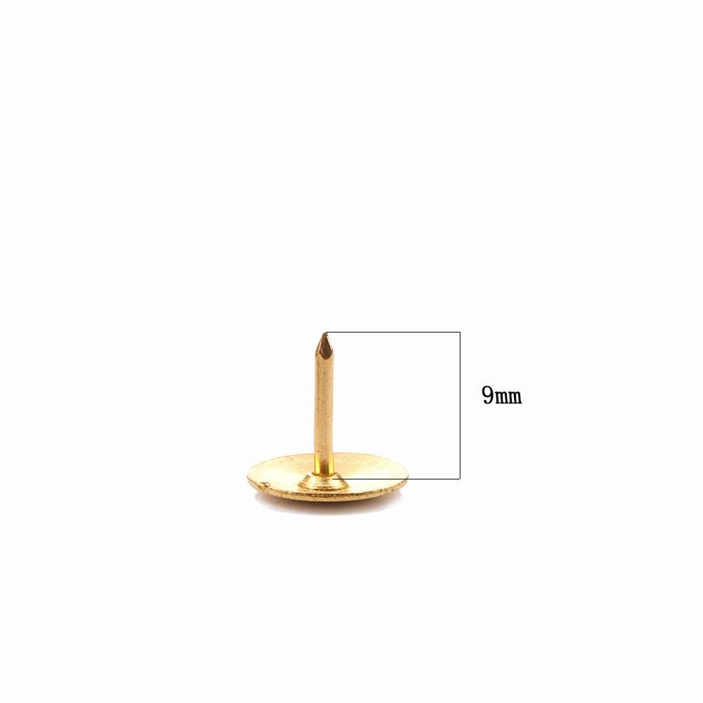 10285200329_1313160381