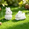 Venta Caliente Moda Lindo Muñeco de Grano Micro Paisaje Resina Adornos Pequeños Lote Mixto de Múltiples Estilos Artículos Decorativos DIY Adornos Pequeños de Escritorio