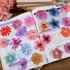 Adesivos PET Flores Coloridas Material para Decoração de Diário Floral Impermeáveis Transparentes Adesivos de Capa de Celular de Alto Valor