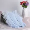 30-35cm Plumas de Avestruz Lámpara de Plumas Arreglo Floral de Plumas de Avestruz Plumas de Boda