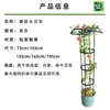 Montar Suporte de Flores em Forma de Guarda-Chuva, Estrutura de Treliça com Cabeça de Cogumelo, Trepadeira de Rosa, Planta de Flor de Rosa, Haste de Suporte para Flores, Planta Verde de Jardinagem