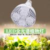Luz de relleno para plantas par PA 38, foco para crecimiento de plantas, luz LED de espectro completo para flores suculentas, interior transfronterizo