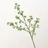Simulación Xiaomi Fruta Palo Único Apio Muestra de Frutas Sala de Muestras Decoración del Hogar Materiales para Arreglos Florales Boda Micro Paisaje Paisajismo Plantas Verdes