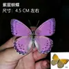 Venta Directa al Por Mayor de Fábrica de Especímenes Reales de Mariposas con Alas Extendidas, Diversos Insectos y Escarabajos, Accesorios para Fotos, Educación Científica, Especímenes Naturales