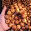 Fio de mão para cicatriz de tumor de Tuia 20mm cicatriz de tumor completa olho de pardal material Liangshan fio de mão material Chen Taihang Wen brincar fábrica de contas de Buda atacado