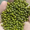 Frijoles mungo frescos de granja, productos de temporada nuevos, frijoles mungo en bolsas pequeñas, papilla de frijol mungo, pastel de frijol mungo, ingredientes para batido de frijol mungo