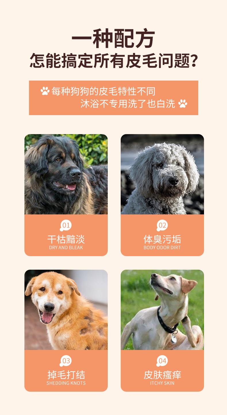 广记悦宠狗狗沐浴露500ml_01.jpg