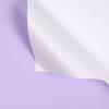 Nuevo Color Macaron Papel Ouya de Doble Cara Bicolor Impermeable Flor Papel de Envoltura de Flores Rosa Estilo Coreano Papel de Envoltura