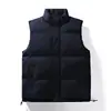 Fábrica de origen chaleco otoño e invierno nuevo color sólido chaqueta de algodón moderna casual cálido sin mangas chaleco prenda exterior venta al por mayor para exportación