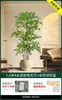 Planta Verde Artificial Nantianzhu, de Gama Alta y Lujo, de Pie, Grande para Interiores y Exteriores, Bonsái de Alta Calidad, Árbol Falso para la Sala de Estar
