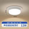 Luz de techo LED con sensor Luz controlada por voz Luz para el hogar Radar Cuerpo humano Pasillo Escalera Pasillo Luz de balcón Luz de sensor de pasillo