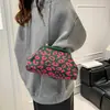 Bolso de Diseño de Nicho Nuevo Transfronterizo 2026 para Mujer, Bolso Cruzado de Cadena a la Moda, Bolso de Hombro Simple Versátil Tipo Nube