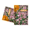 Sementes de Flores Gipsofila Rosa Flores Silvestres Fáceis de Cultivar Sementes de Flores para Vasos em Todas as Estações Embalagem de Cor Original Sementes de Flores para Venda por Atacado