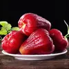 Hainan Perla Negra Fruta de Loto Fresca con Caja 1.5-2.5kg Fruta de Hada Especialidad Tropical de Temporada Loto de Niebla Envío Gratis