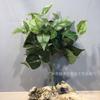 Simulação de folha verde planta parede folha falsa decoração de casa Changchun folha foto adereços planta simulação paisagismo