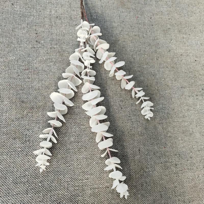 白色