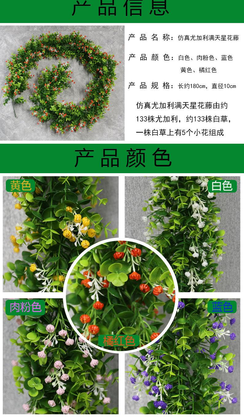 详情_02