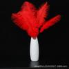 Material de flores de fibra Zhuo, ramo de plumas de colores, decoración de embalaje, joyería floral de estilo nórdico, flores de terciopelo de avestruz, materiales de embalaje