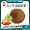 Extracto de Phyllanthus Emblica Materia Prima Alimentaria Puede Abrir Certificado TC Fábrica Fuerte en stock Polvo de Phyllanthus Emblica Soluble en Agua al por Mayor