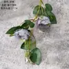 90% de descuento Liquidación Ins Transfronterizo Flores de Rosa Artificiales Decoración del Hogar Flores Ramo de Mano Planta de Pared Decoración de Pared Flores Artificiales