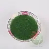 1000 Piezas de Microesferas de Vidrio Transparentes Blancas Verdes de 1.6 mm Bolas de Vidrio de Color Sólido de Prueba de 1.5 mm