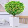 Dropshipping Perfume Flor de Milán Planta Verde en Maceta Planta de Flor de Interior Sala de Estar Balcón Planta de Floración de Cuatro Estaciones Jazmín