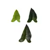 Hojas de Jacinto de Agua Artificiales, Hojas Artificiales, Accesorios de Enredadera Artificiales, Flores Artificiales, Hojas de Plantas Verdes Artificiales, Hojas Artificiales Pegadas