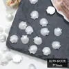 Abalorios para Uñas con Forma de Estrella de Mar y Concha Aurora Serie Océano Concha Resina Accesorios para Uñas DIY Decoración de Uñas Portátil