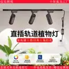 Spot de Trilha LED para Parede de Fundo, Loja de Roupas LED Comercial Montado na Superfície Casa Tipo Trilho Spot