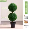 Bolas de Musgo, Bolas de Césped Artificial DIY de Musgo Verde, Bolas de Eucalipto, Decoración de Plantas Verde Musgo, Paisajismo Bonsai, Arenisca Enmarcada