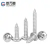 Tornillos Autorroscantes de Acero Inoxidable 304 Pasivado de Cabeza Redonda Phillips, Tornillos de Cabeza Plana Resistentes a la Corrosión, Tornillos para Madera M3-M6