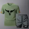 Nuevo Conjunto de Dos Piezas para Hombre, Moderno, Cuello Redondo, Manga Corta, Verano, Casual, Deportivo, Shorts de Fitness, Transpirable, Secado Rápido, Listo para la Venta