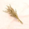 Ramo Transfronterizo de Flores Secas de Gipsofila Hierba de los Amantes Nomeolvides Siempreviva Decenas de Miles de Estrellas Caja de Regalo Jarrón Pequeño Decorativo Ramo