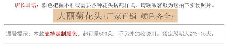 大丽菊花头_15.jpg