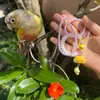 Cuerda de Tracción para Loro, Cuerda Retráctil Ligera para Liberación de Pájaros, Cuerda Negra Fénix Sol Pequeño para Entrenamiento al Aire Libre y Paseo de Pájaros
