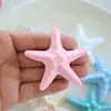 Grande Estrela do Mar Artificial Concha Resina Série de Acessórios Oceânicos Acessórios DIY para Fivela de Sapato Material para Sapato Croc
