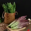 Fabricante Personalizado al Por Mayor Modelo de Lechuga Simulada Hojas de Verdura Verdes Púrpuras Verduras Falsas Decoración de Restaurante Accesorios para Disparos